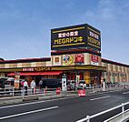 MEGAドン・キホーテ霧島隼人店（1016m）