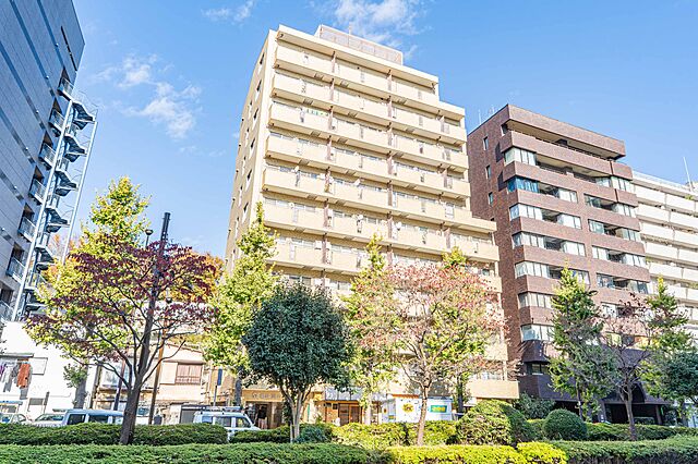 外観 朝日関口マンション 10階/-