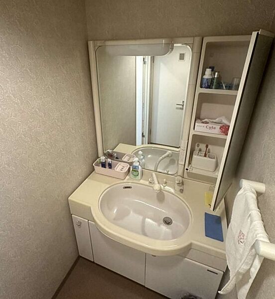 洗面を拡大表示
