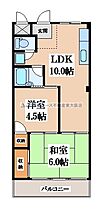 大阪府東大阪市鳥居町（賃貸マンション2LDK・2階・44.99㎡） その2