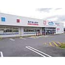 ドラックストア「ウエルシア諏訪上川店まで224ｍ」