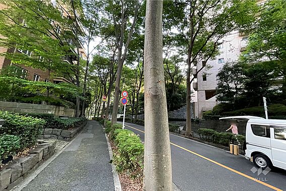 敷地東側の前面...