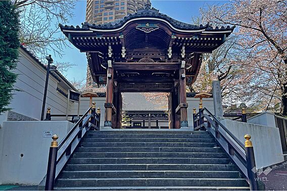 麻布山 善福寺...