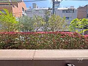 バルコニーからの眺め（東方向）