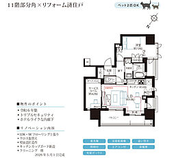 グランリビオ表参道 1SLDKの間取図画像