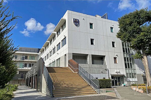 周辺を拡大表示