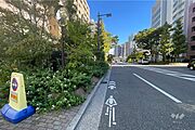 敷地の東側前面道路（南側から）