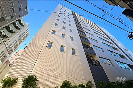 パークホームズセントラルシティ中央区湊の外観(北東側から)