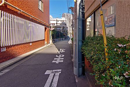 敷地北西側の前面道路(南西側から)