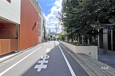 敷地の北側前面道路(西側から)