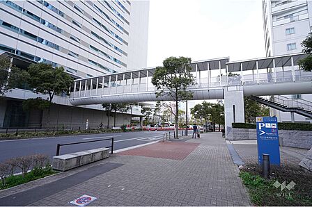 敷地西側の前面道路