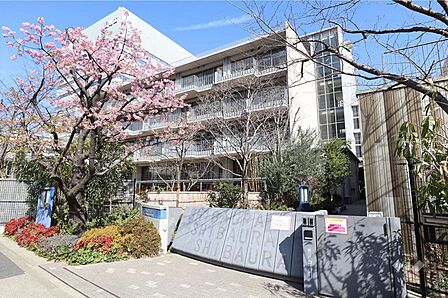 芝浦幼稚園[公立]の外観