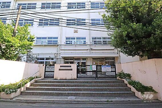 広尾中学校[公...
