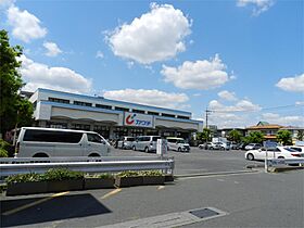 旭町小山ビル 206 ｜ 埼玉県草加市旭町６丁目（賃貸マンション1K・2階・29.16㎡） その18