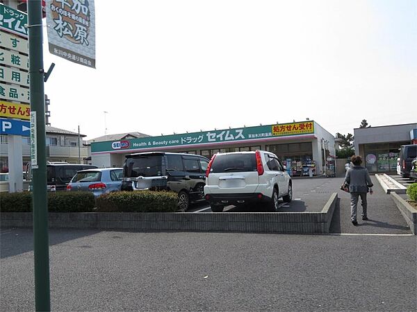 画像24:ドラッグセイムス 草加氷川町店（555m）