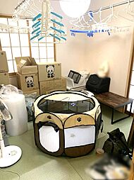 室内の画像