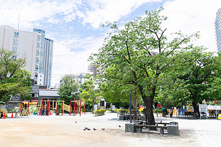 ■ 周辺 ■ 公園