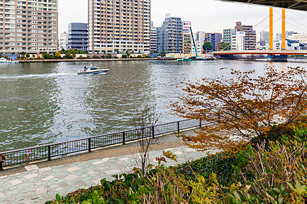 ■ 隅田川 ■