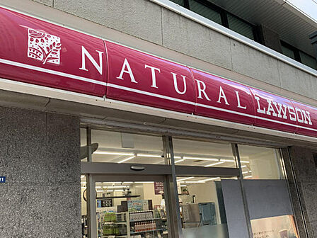 ナチュラルローソンコモディオ汐留店:徒歩7分(551m)