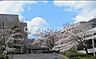 周辺：私立明治大学付属中野八王子中学校 徒歩24分。 1870m