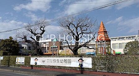 弥生幼稚園 徒歩13分。 970m