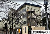 八王子市立椚田中学校 徒歩14分。 1080m