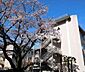 周辺：八王子市立東浅川小学校 徒歩4分。 280m
