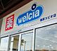 周辺：ウエルシア楢原コピオ店 徒歩37分。 2900m