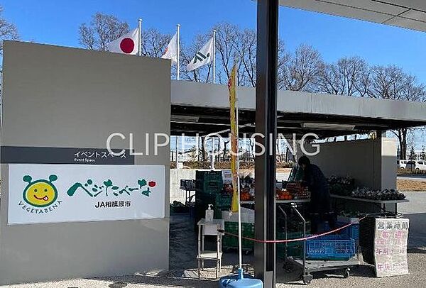 周辺を拡大表示