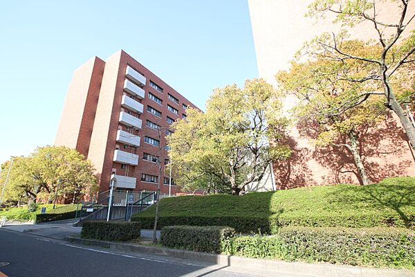 画像17:名古屋学院大学　名古屋キャンパスしろとり