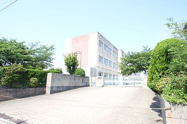画像15:名古屋市立桜小学校