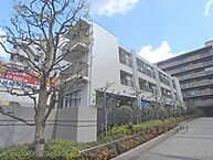 京都府京都市伏見区桃山町松平筑前：物件画像／株式会社エリッツ　新祝園せいかガーデンシティ店
