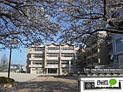 小学校「野洲市立野洲小学校まで523m」