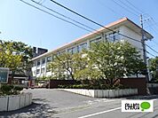 小学校「近江八幡市立桐原東小学校まで1351m」