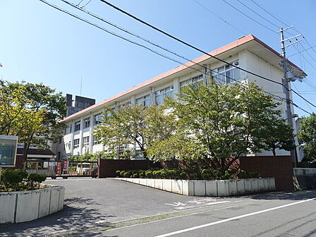 小学校「近江八幡市立桐原東小学校まで805m」