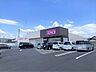 周辺：ドラッグストアコスモス 中富店 290m