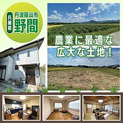 兵庫県丹波篠山市野間