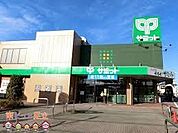 サミットストア新座片山店 徒歩11分。 810m