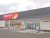 ツルハドラッグ木更津高柳店（270m）