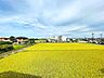 その他：目の前に広がる田園風景