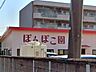 周辺：ぽんぽこ園（800m）