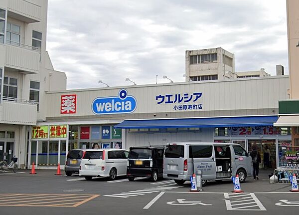 周辺を拡大表示