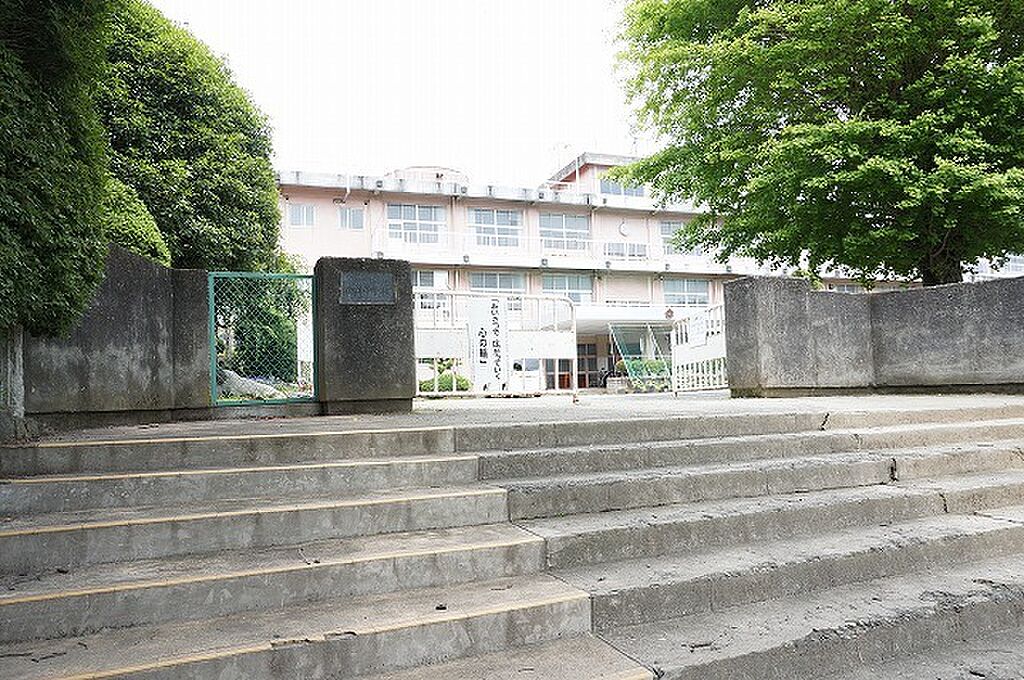 Image 73