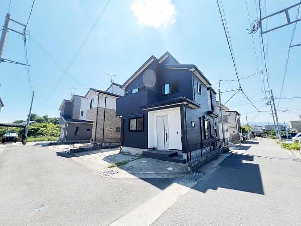 Image 366