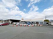 DCM 小田原店まで約590m（徒歩8分）