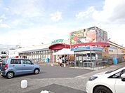小田原百貨店 パントリー栢山店まで約1350m（徒歩17分）
