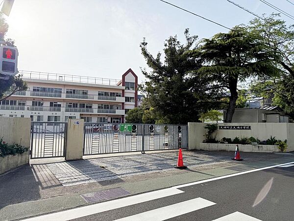 周辺を拡大表示