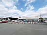 周辺：DCM 小田原店まで約280m（徒歩4分）