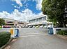 周辺：秦野市立鶴巻小学校まで約890m（徒歩12分）