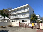 秦野市立渋沢小学校まで約2520m（徒歩32分）